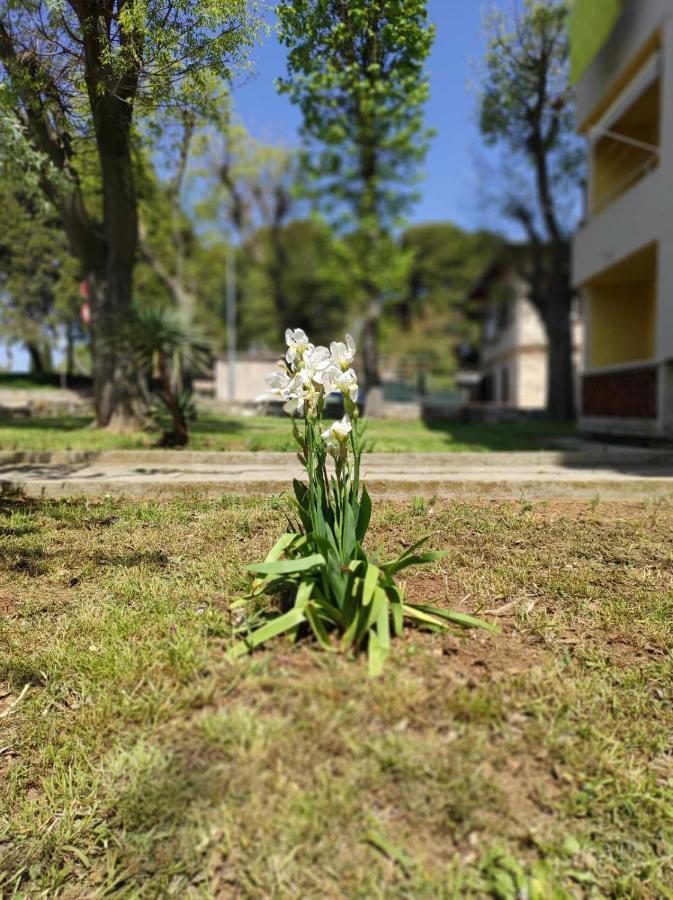 Bright & Cozy Pula Apartamento Exterior foto